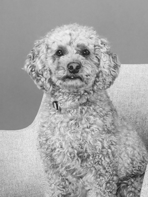 Mitarbeiterfotos Monty |